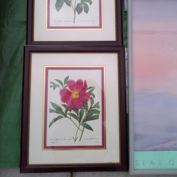 PAIR OF BOTANICAL PRINTS WITH ROSE-COLORED FLOWERS IN TRIPLE-MAT MAHOGANY FRAMES - Picture 4 of 4